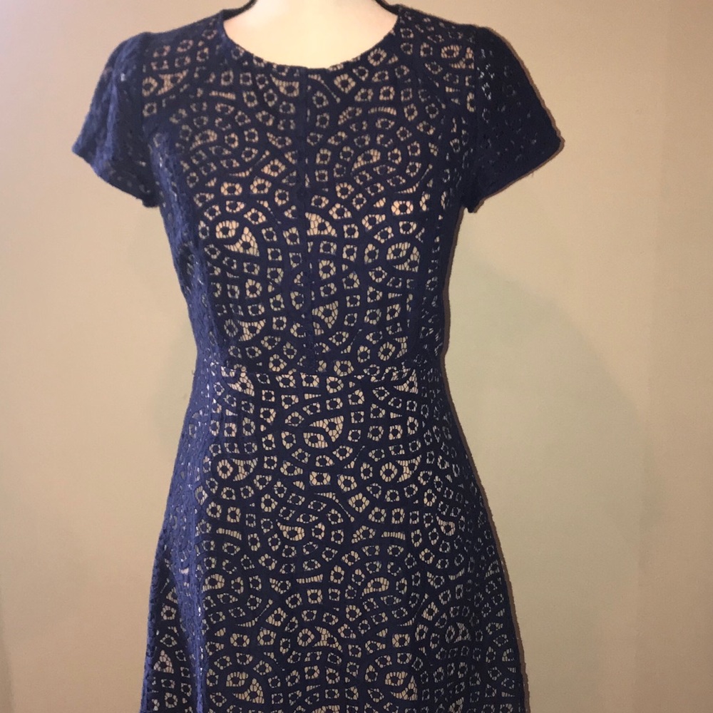 Navy Dress with nude lining